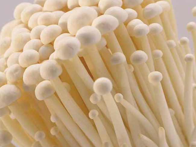 金针菇