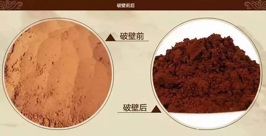 临沂信邦生物科技有限公司对于灵芝破壁的解读